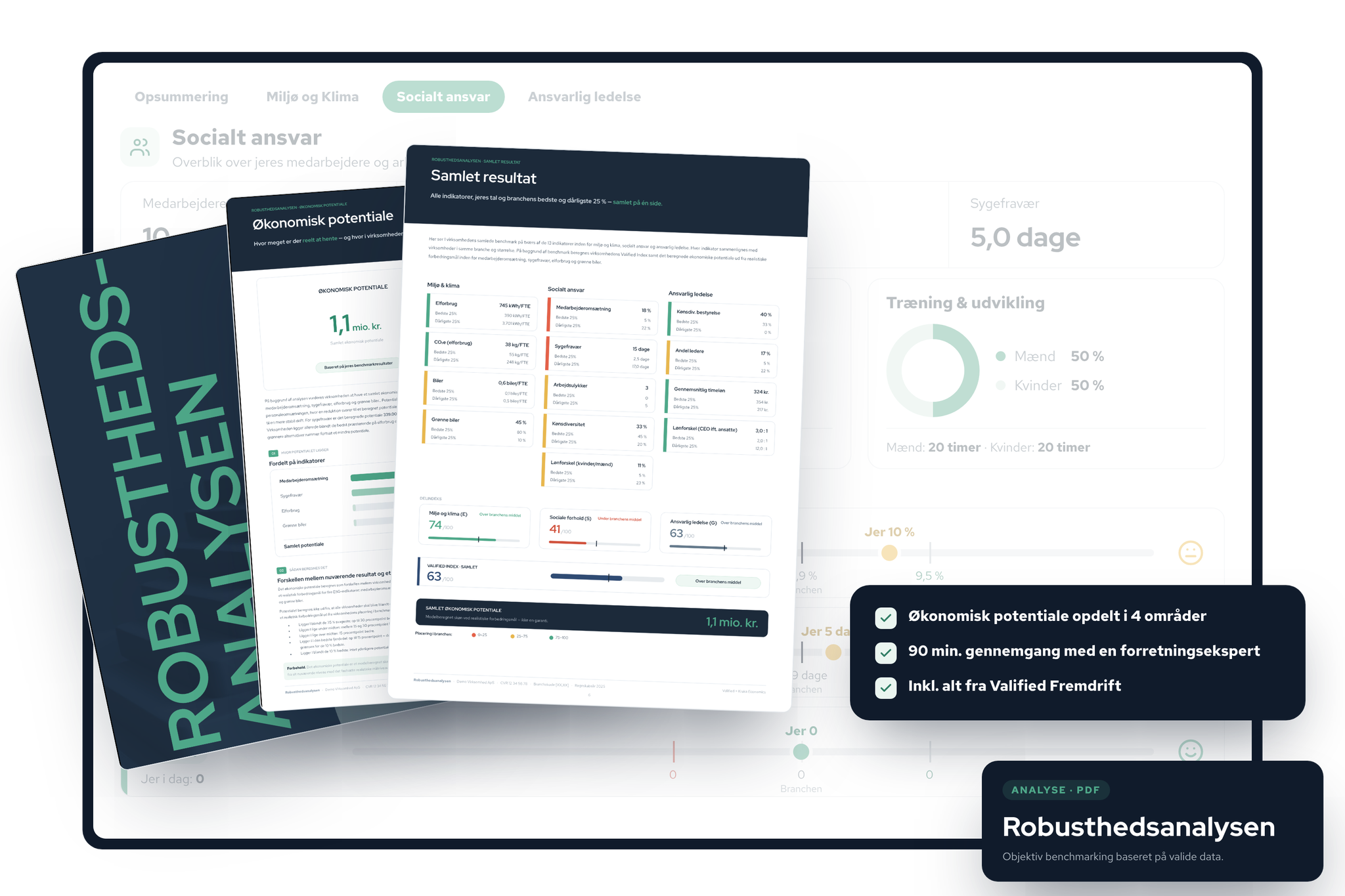 Robusthedsanalysen — samlet resultat og potentiale