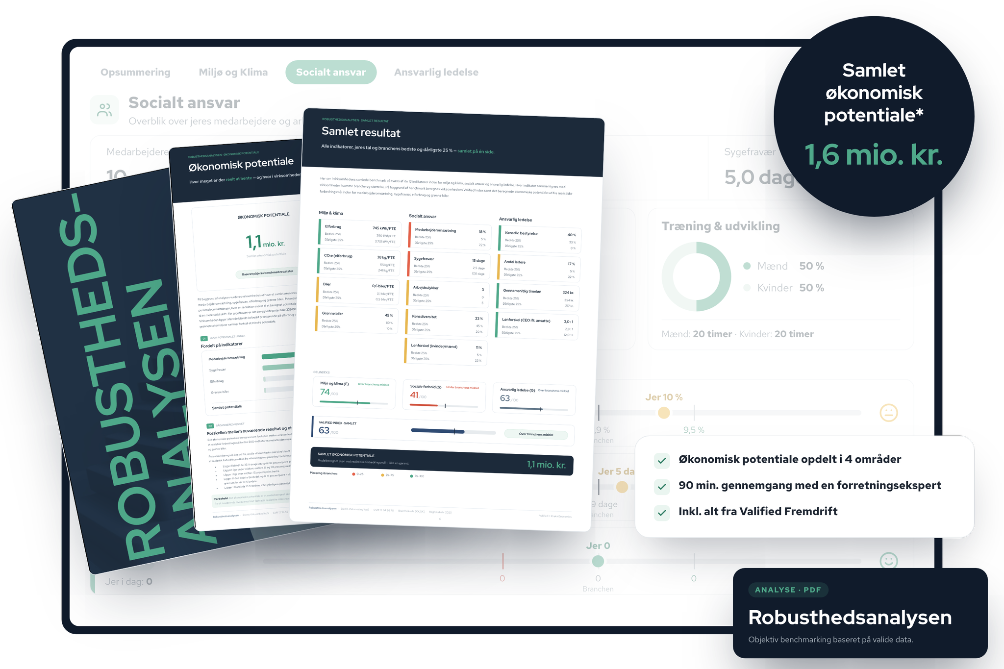 Robusthedsanalysen — samlet resultat, økonomisk potentiale og Valified Index